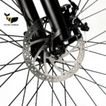 bicicleta-electrica-bk10a-05