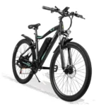 bicicleta-electrica-honey-whale-s7-pro-negro-01