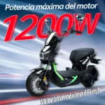 motobici-electrica-honey-whale-zl-negro-verde-03