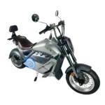 motobici-electrica-honey-whale-raptor-gris-02
