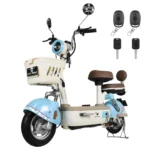 motobici-electrica-honey-whale-u4s-azul-01