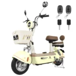 motobici-electrica-honey-whale-u4s-verde-01