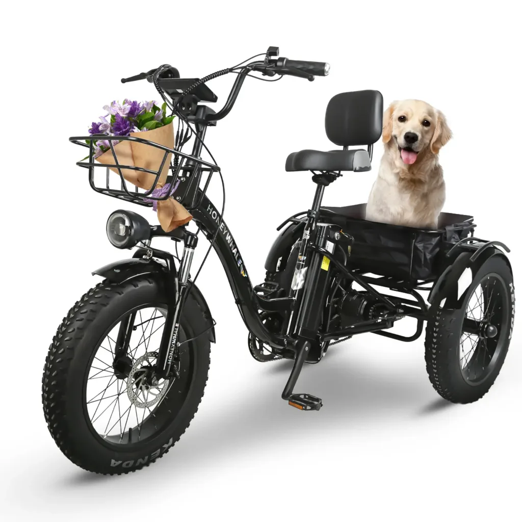 bicicleta-electrica-honey-whale-s13-negro-01
