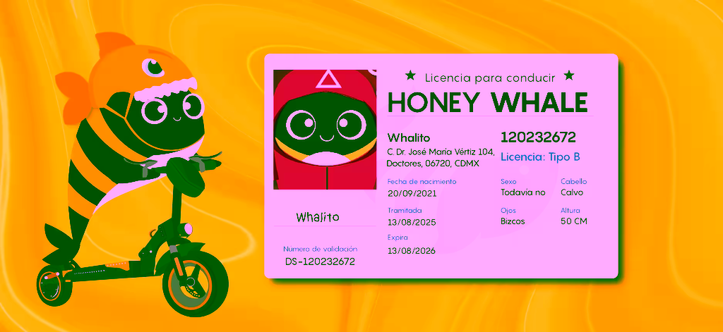 Honey Whale Licencia para scooter bicicletas y motobicis
