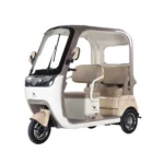 trimoto-electrica-honey-whale-c80-pro-cafe-blanco-01