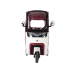 trimoto-electrica-honey-whale-c80-pro-cafe-blanco-03