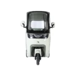 trimoto-electrica-honey-whale-c80-pro-verde-03