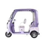 trimoto-electrica-honey-whale-c80-pro-violeta-02