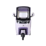 trimoto-electrica-honey-whale-c80-pro-violeta-03