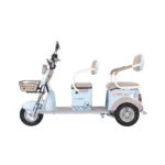 trimoto-electrica-honey-whale-hn-n1-azul-02