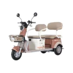 trimoto-electrica-honey-whale-hn-n1-marron-01