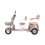 trimoto-electrica-honey-whale-hn-n1-marron-02