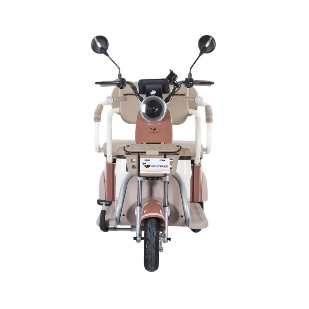 trimoto-electrica-honey-whale-hn-n1-marron-03