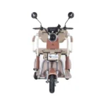 trimoto-electrica-honey-whale-hn-n1-marron-03