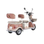 trimoto-electrica-honey-whale-hn-n1-marron-04