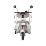 trimoto-electrica-honey-whale-hn-n1-verde-03