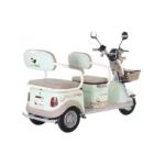 trimoto-electrica-honey-whale-hn-n1-verde-04