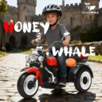 mini-moto-montable-infantil-honey-whale-bdq-6388-rojo-07