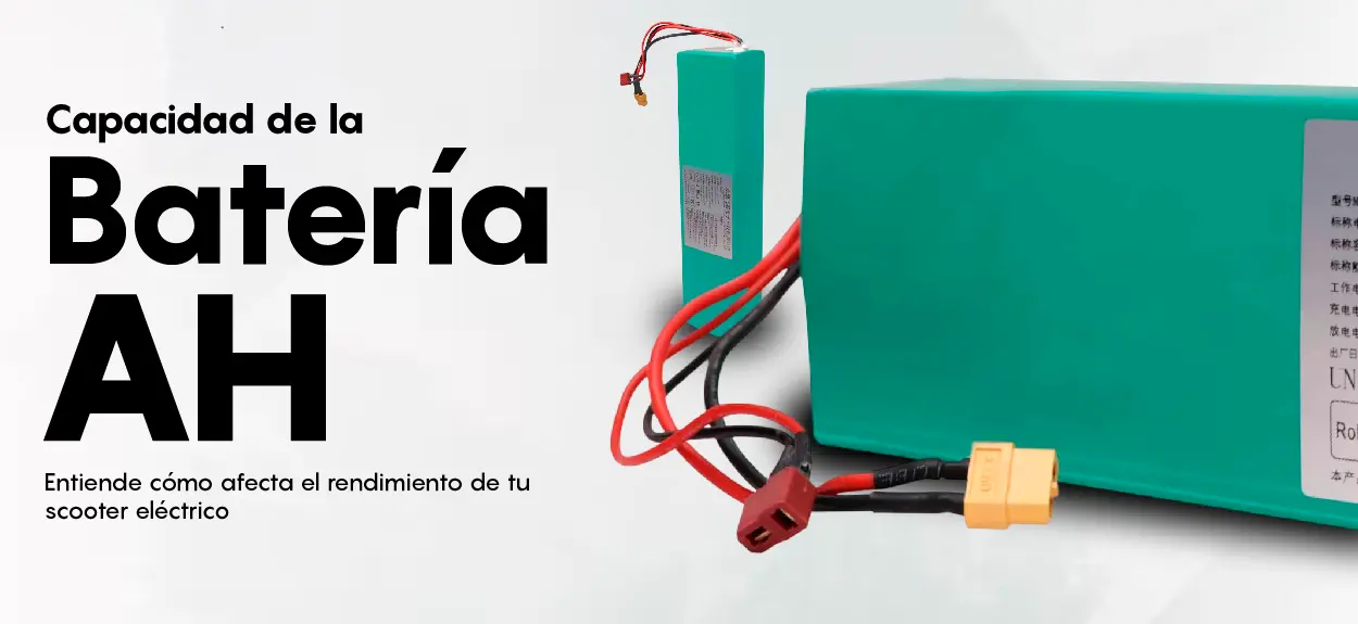 Honey-Whale-entrada-febrero-17-batería-AH