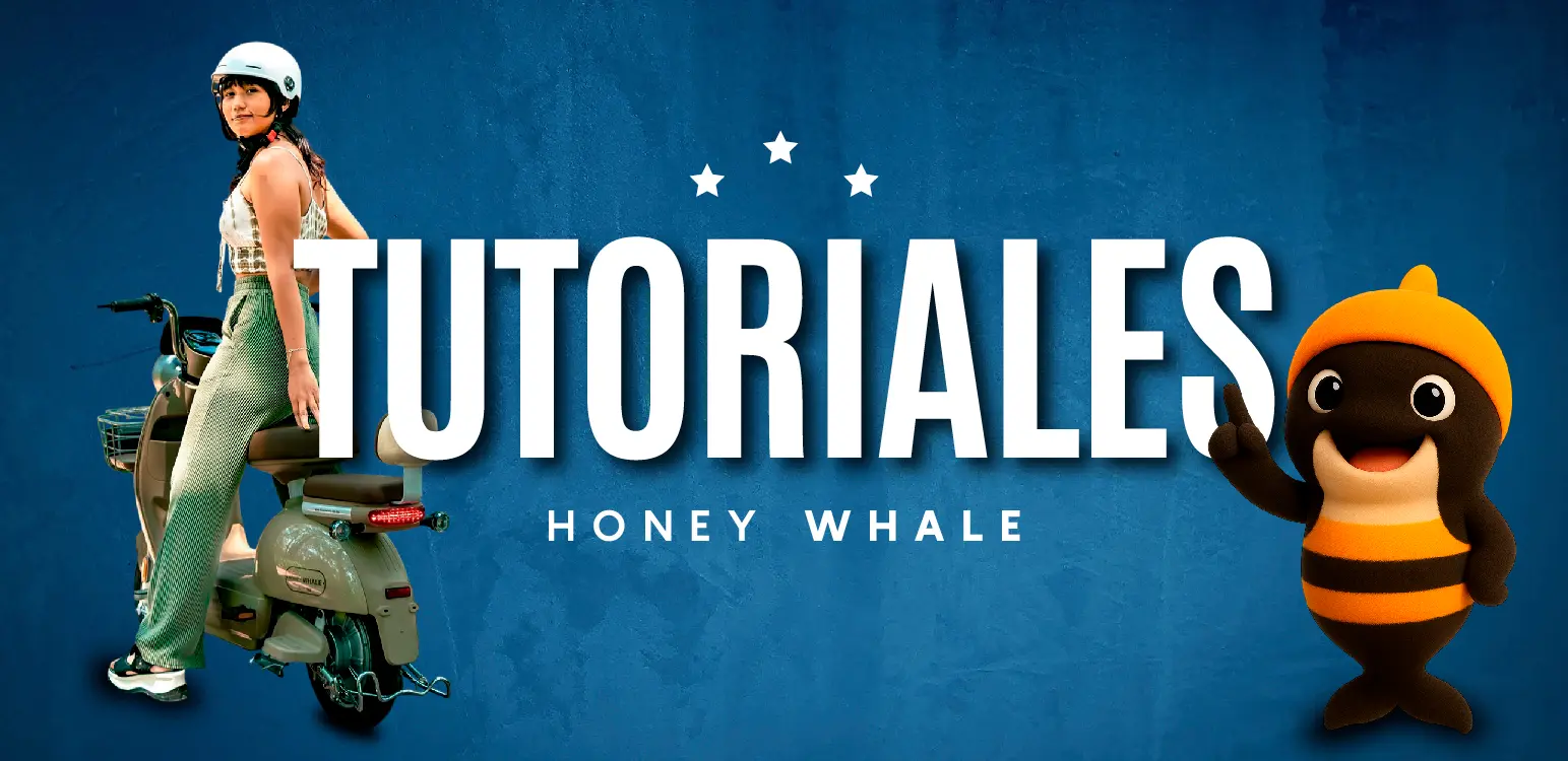 Honey-Whale-entrada-febrero-24-Tutoriales