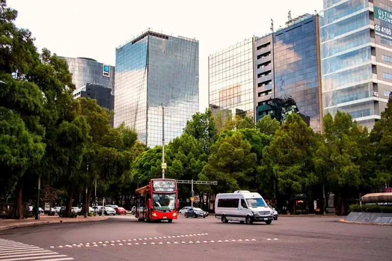 Honey-Whale-Paseo-Reforma-01