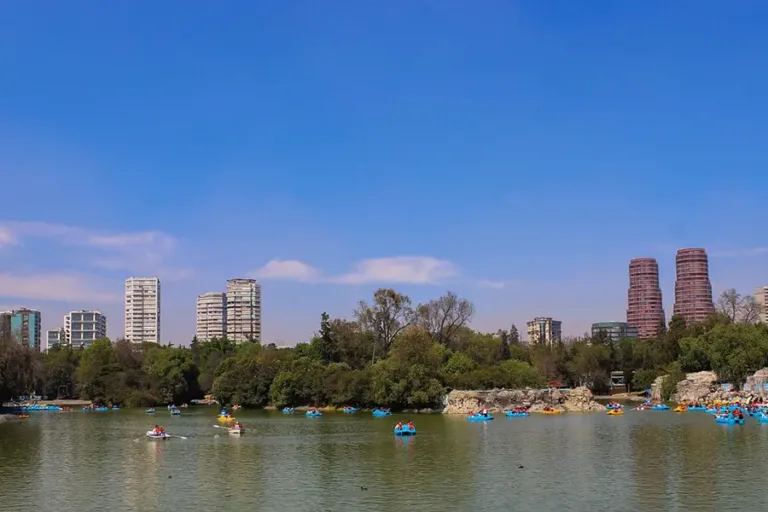 Honey-Whale-Ruta-Bosque-Chapultepec-02