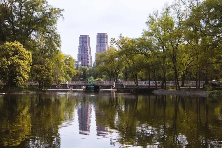 Honey-Whale-Ruta-Bosque-Chapultepec-03