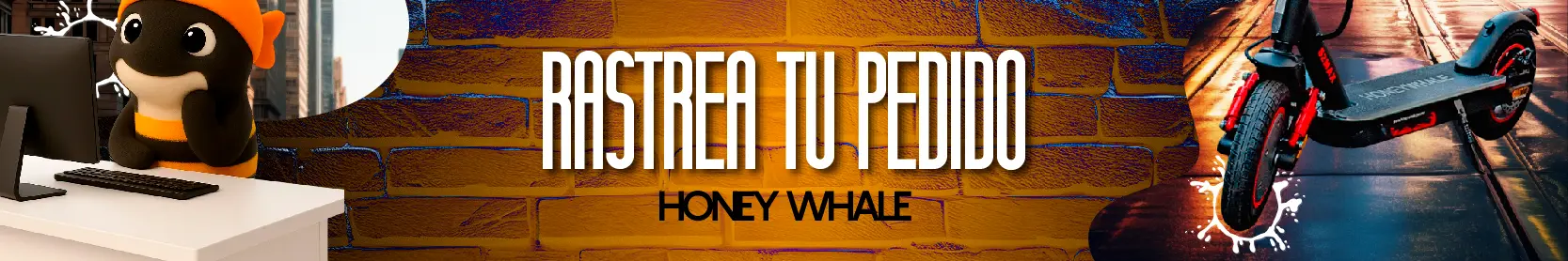 honey-Whale-banner-sección-rastrea