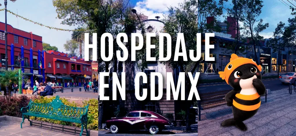 Honey-Whale-entrada-abril-07-hospedaje