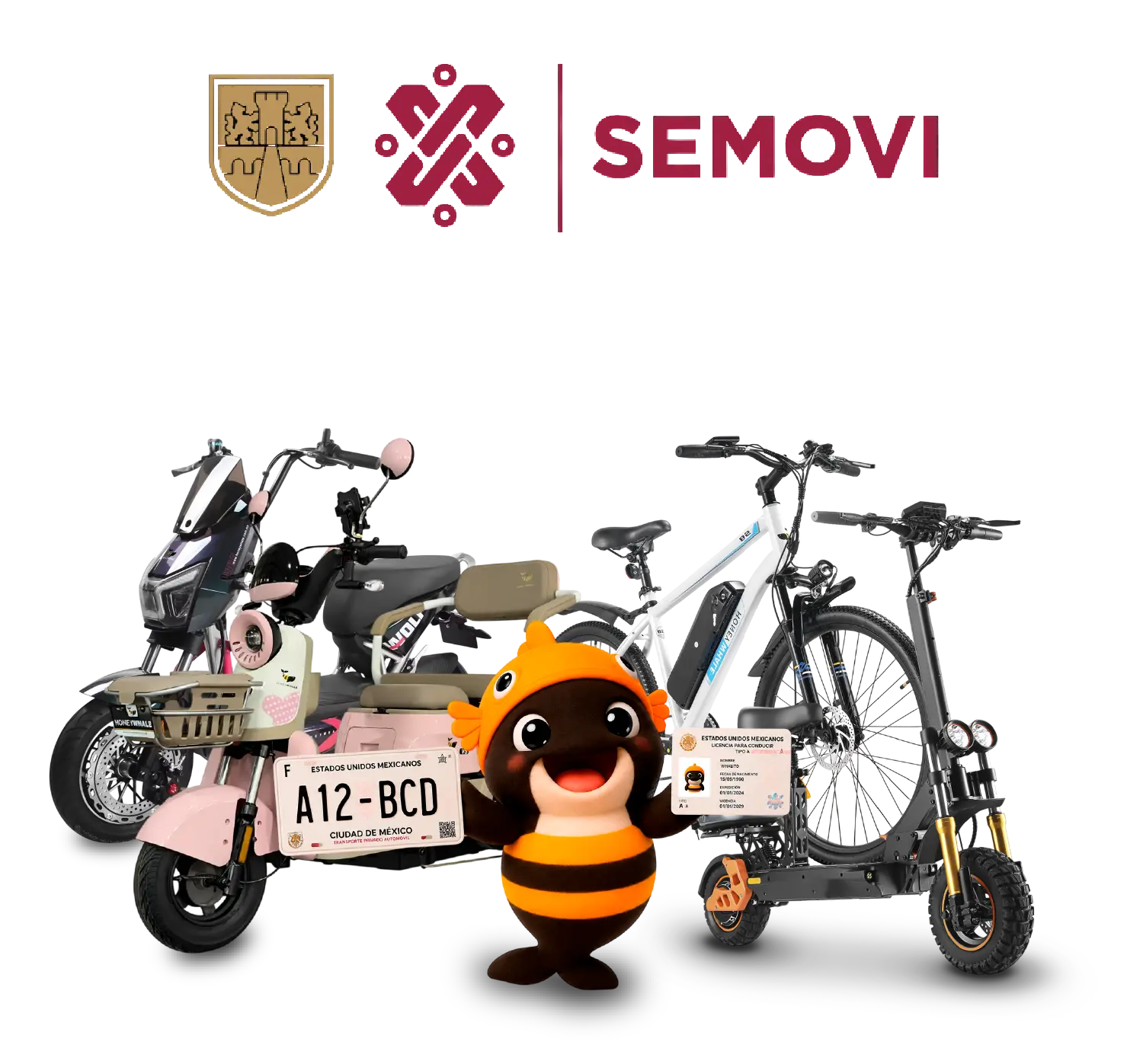 whalito-emplacado-semovi-01